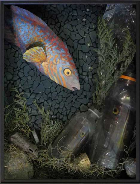 A fish is looking in disbelief at the two plastic bottles that are now part of his environment.