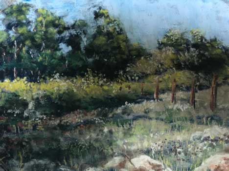 Chalk pastel drawing of meadow with a fence