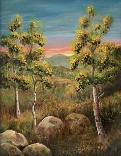 Colorado backyard with three aspen trees and four large boulders