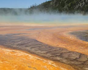 Yellowstone
