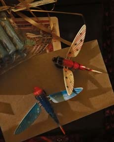 two dragonflies