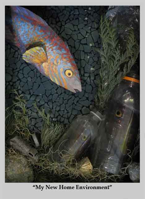 Fish looking at two plastic bottle