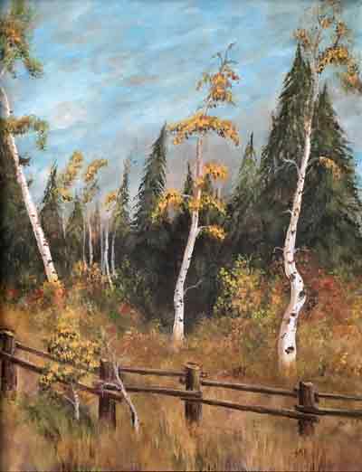 Old wooden fence,  three aspen trees set against pine trees and cloudy sky
